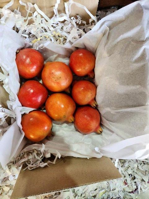 Fresh Pomegranate Brix 14-18% Size 250g-500g Color Deep Red Pakaging 2kg/box Certification HACCP, ISO 22000 Target Market United Arab Emirates - Image 3